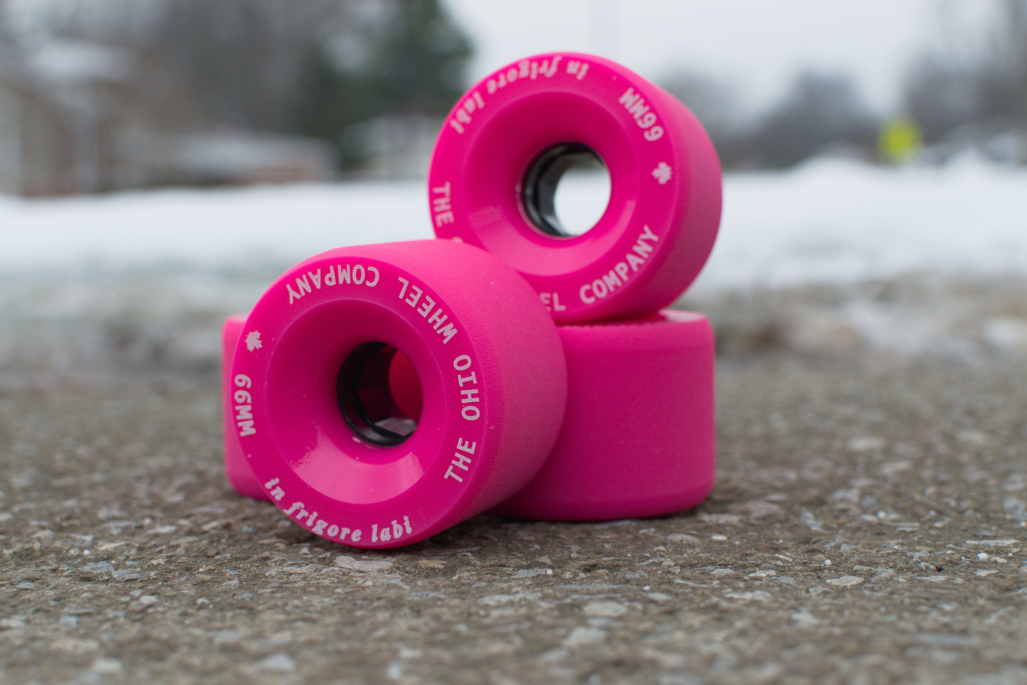 The Winter Wheels (in frigore labi)