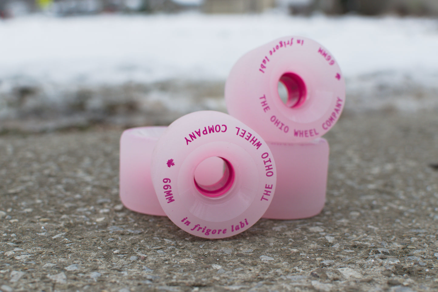 The Winter Wheels (in frigore labi)