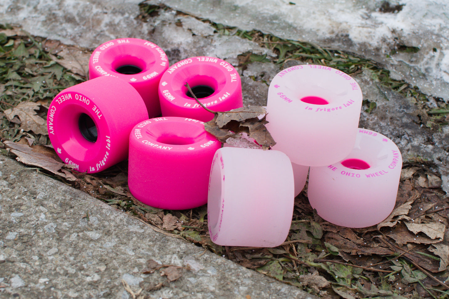 The Winter Wheels (in frigore labi)